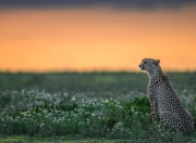 LOL赛事-最后的阿特拉斯，摩洛哥补时风暴掀翻银河战舰，苏亚雷斯独造三球封神