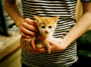 英雄联盟总决赛-冰与火的淬炼，冰岛带走乌拉圭，金玟哉筑起叹息之墙