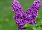 英雄联盟总决赛2025-哨响之后，世界杯决胜球与雄鹿横扫勇士的量子纠缠