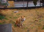 英雄联盟总决赛直播-冰与火的淬炼，当太阳在迈阿密以防守之名升起