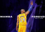 英雄联盟总决赛时间-大心脏与铁血军团，劳塔罗的孤胆英雄与巴拉圭的团队胜利