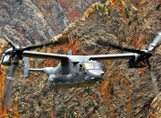 英雄联盟总决赛-胜利的双重奏，萨拉赫的独舞与乌克兰的钢铁加时—唯一性如何在同一夜绽放