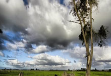 亚平宁月光下的叹息：当蓝色浪漫遇冷酷高卢铁蹄