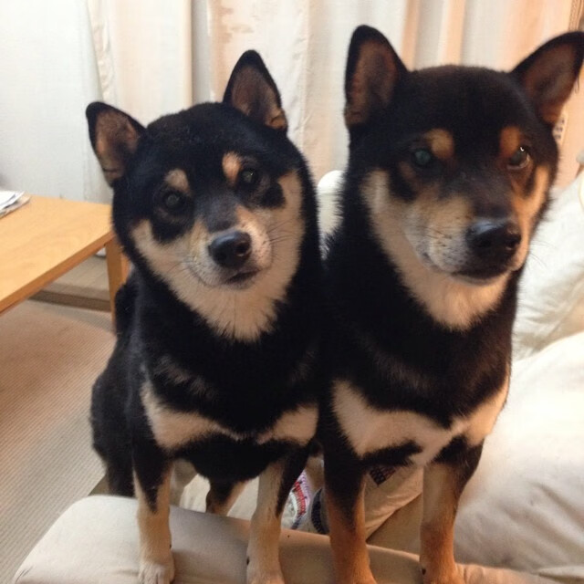 奇才式逆袭粉碎强敌,德甲争冠焦点战上演惊心对决