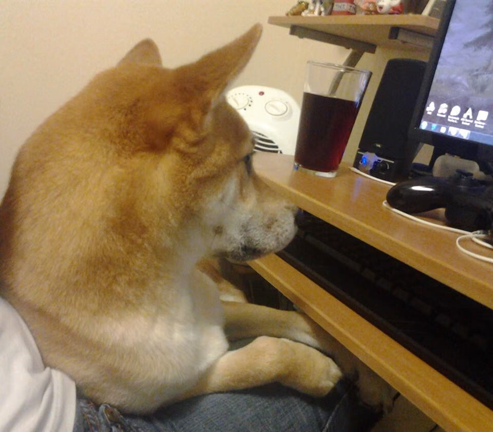 疆场与世界，当新疆开拓者与美加墨的绿茵焦点同频