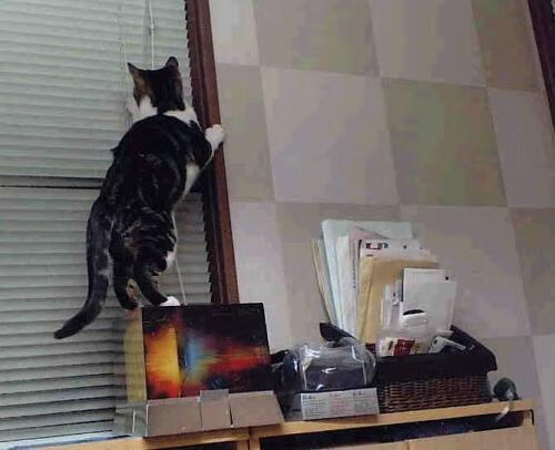 绝境之焰，保罗一球定音，篮网跨越大洋的致命狙击