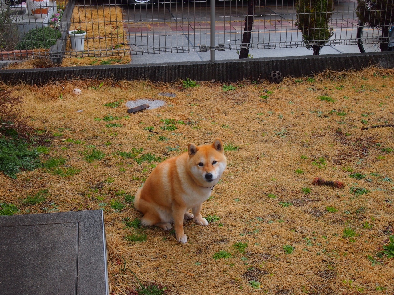 冰与火的淬炼,当太阳在迈阿密以防守之名升起