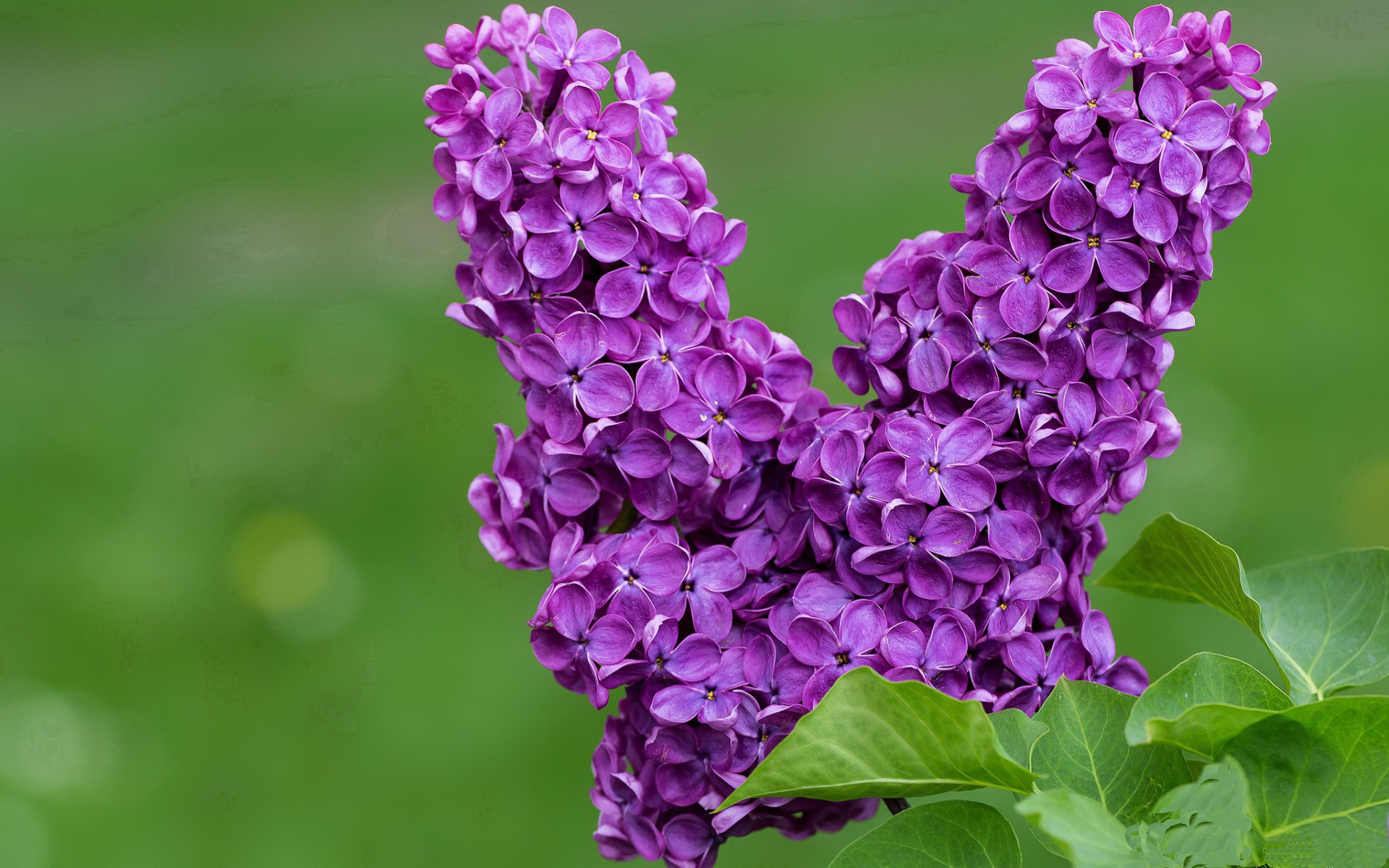 攻防天平倾斜夜,哈登对位约基奇,演绎非典型统治力