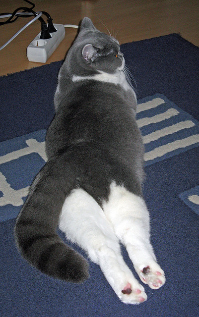 乌克兰奇兵闪击诺坎普，一场改变西甲权力格局的90分钟