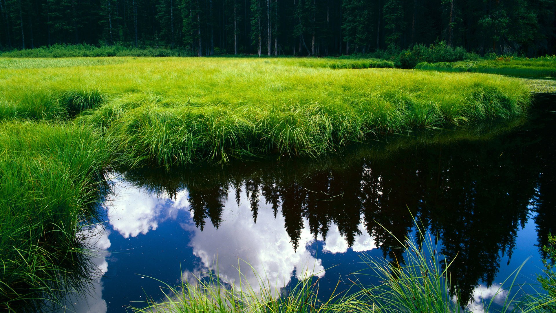 当意式蓝黑遇见袋鼠军团，迪巴拉一锤定音，这场不可能的对决如何炼成？